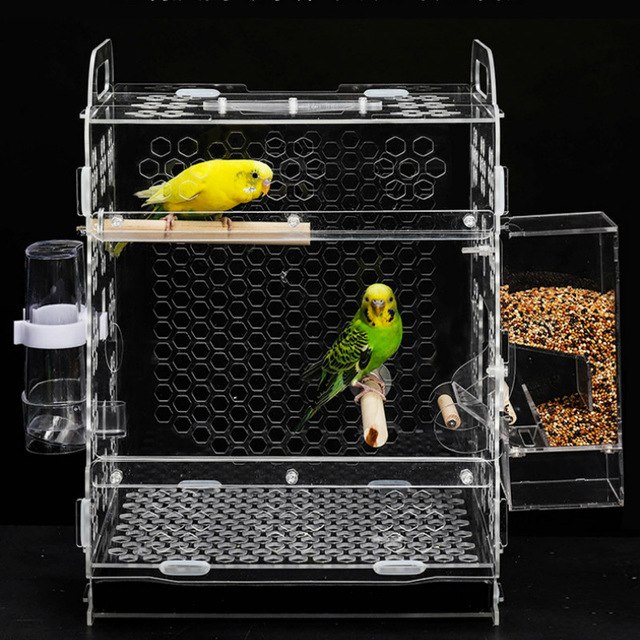 Acrylic Bird/Parrot Cage with Nest Bird Cage, Bird Food, Health & Accessories Acrylic Bird/Parrot Cage with Nest