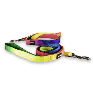 TD Rainbow Nylon Leash Dog TD Rainbow Nylon Leash