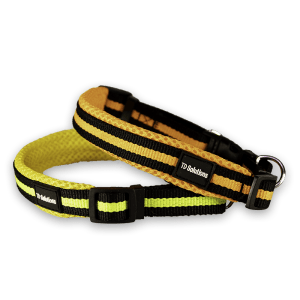 TD Authentic PP Bounce Collar
