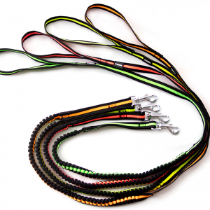 TD PP Bounce Leash Dog TD PP Bounce Leash