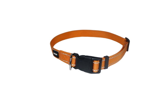 Reflective Nylon Collar Collar Reflective Nylon Collar - Image 14