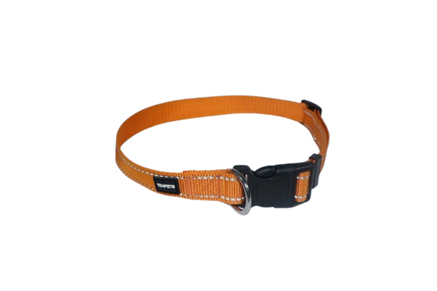 Reflective Nylon Collar Collar Reflective Nylon Collar - Image 13