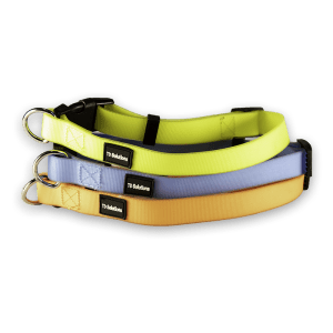 TD Authentic PP Rubber Collar