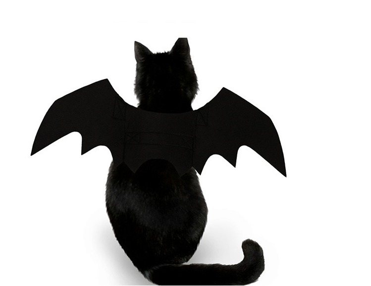 TD Funny Halloween Bat Costume Apparel TD Funny Halloween Bat Costume - Image 3