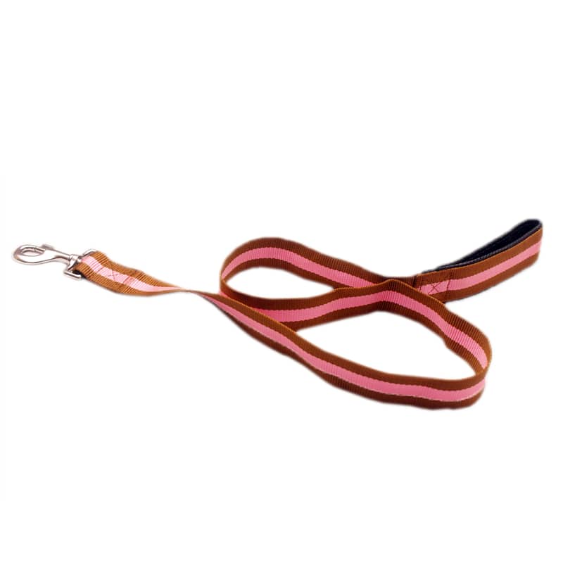 Multi Coloured Authentic Nylon Leash with Foam Dog Multi Coloured Authentic Nylon Leash with Foam - Image 4