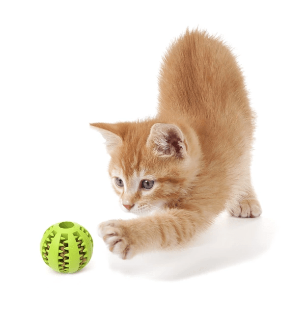 Rubber Interactive Chew Ball Toy Dog Rubber Interactive Chew Ball Toy - Image 3