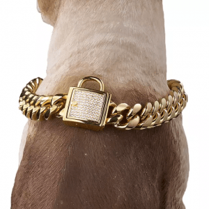 Swagger Necklace 316L Stainless Dog Collar