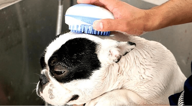 Massage Pet Grooming Wash Brush 3 in 1 Dog Massage Pet Grooming Wash Brush 3 in 1 - Image 5