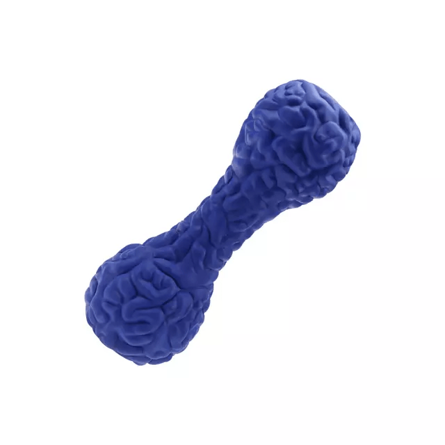 TD Authentic Dog Leakage Pet Brain Shaped Dumbbell Toy Dog TD Authentic Dog Leakage Pet Brain Shaped Dumbbell Toy - Image 3