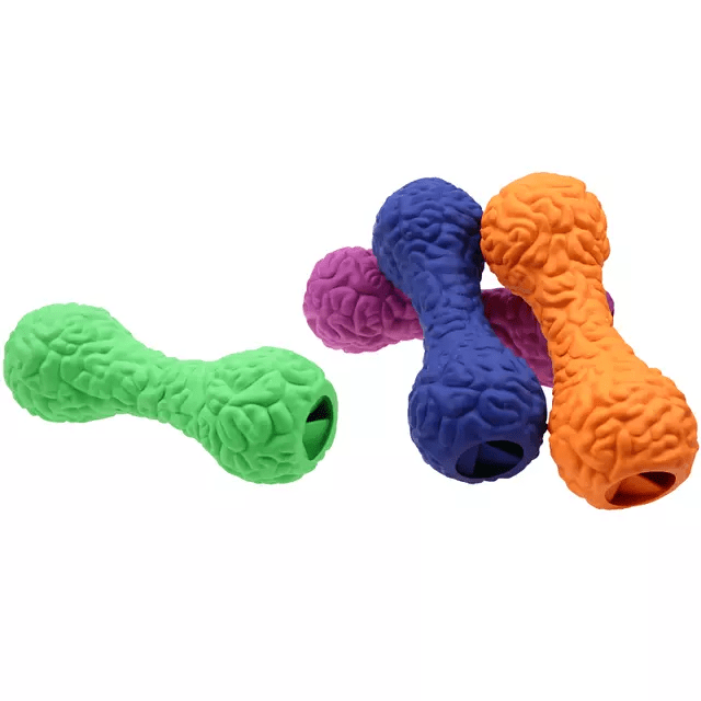 TD Authentic Dog Leakage Pet Brain Shaped Dumbbell Toy Dog TD Authentic Dog Leakage Pet Brain Shaped Dumbbell Toy - Image 2