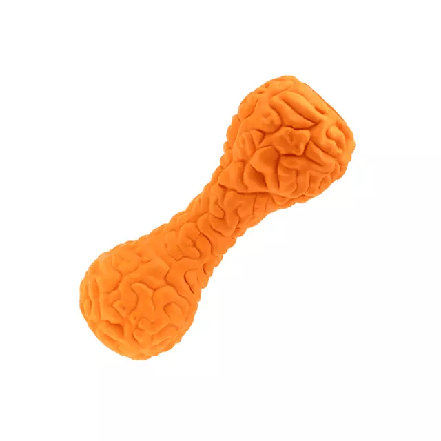 TD Authentic Dog Leakage Pet Brain Shaped Dumbbell Toy Dog TD Authentic Dog Leakage Pet Brain Shaped Dumbbell Toy - Image 4