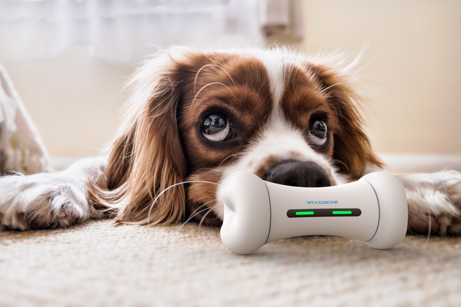 Wickedbone Smart Interactive Pet Toy Dog Dog and cat smart toys Wickedbone Smart Interactive Pet Toy