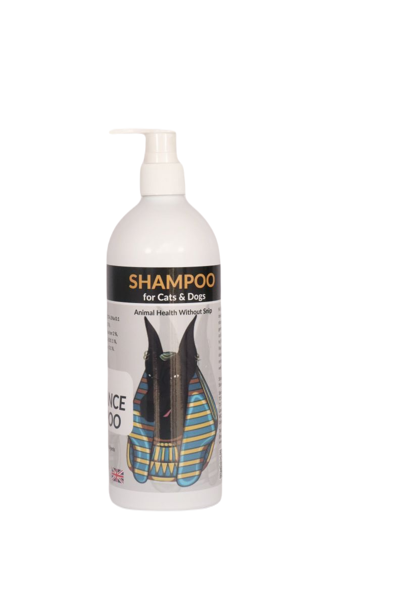 MJ Fragrance Dog Perfume Aromatic Shampoo 500ml Dog MJ Fragrance Dog Perfume Aromatic Shampoo 500ml - Image 2