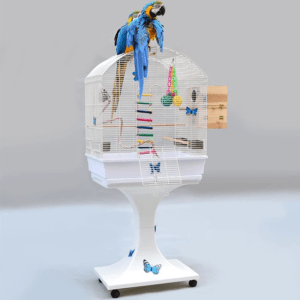 TD Foldable Breeding Parrot Metal Cage Bird Cage, Bird Food, Health & Accessories TD Foldable Breeding Parrot Metal Cage