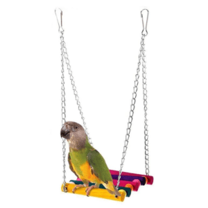 TD Parrot Climbing Ladder Swing Beads Toy