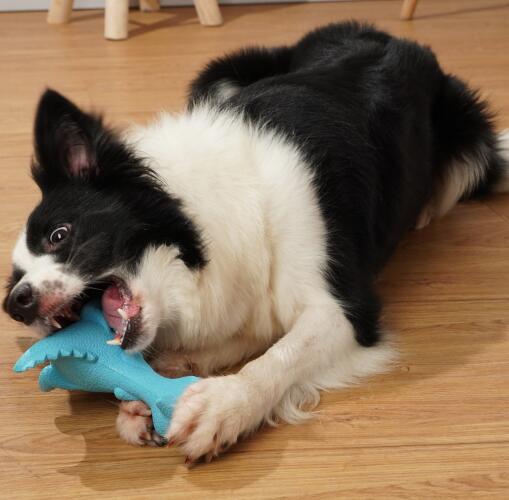 Squeaky Dinosaur Rubber Shaped Toy Dog Squeaky Dinosaur Rubber Shaped Toy - Image 6