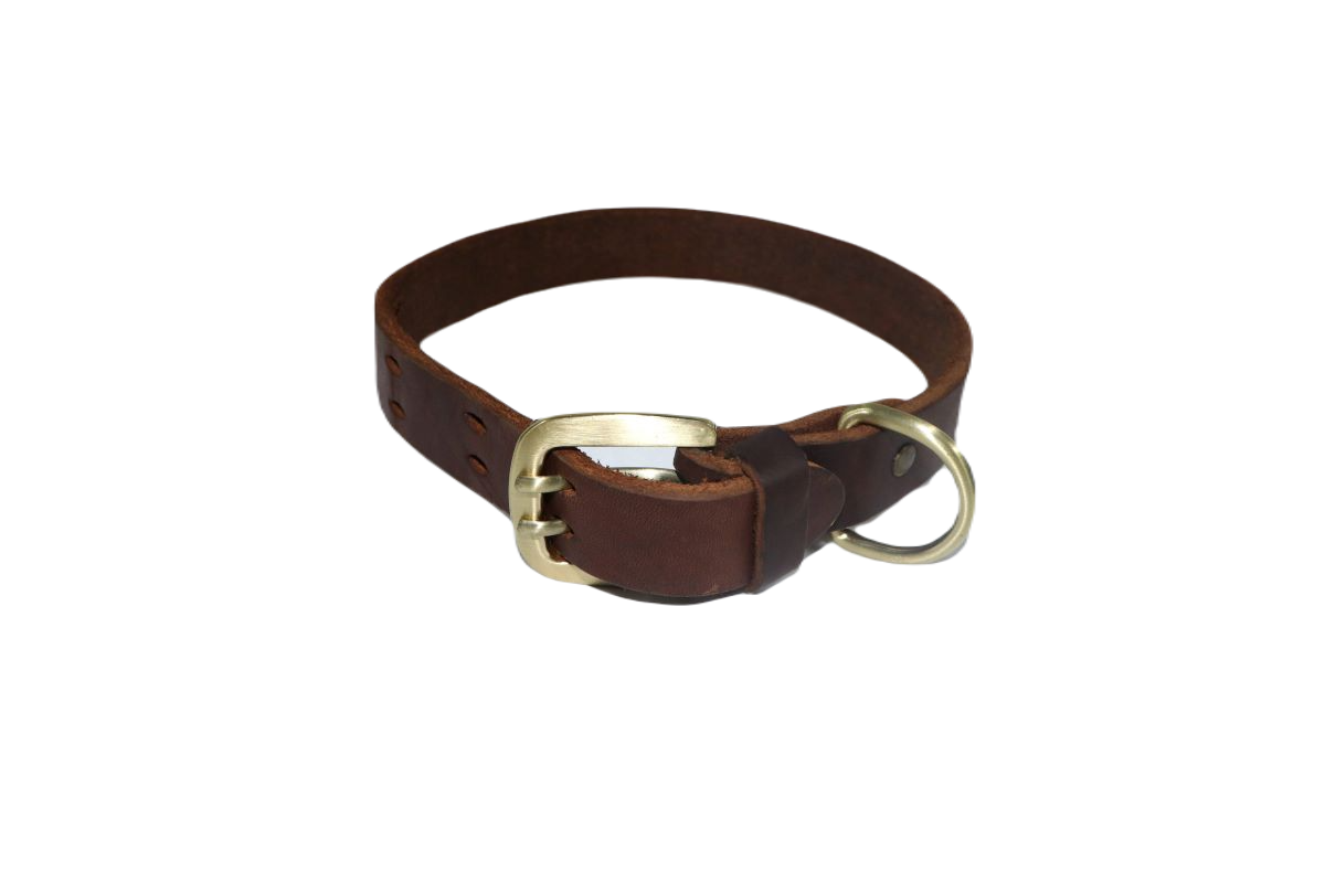 TD Authentic Leather Collar Collar TD Authentic Leather Collar - Image 2
