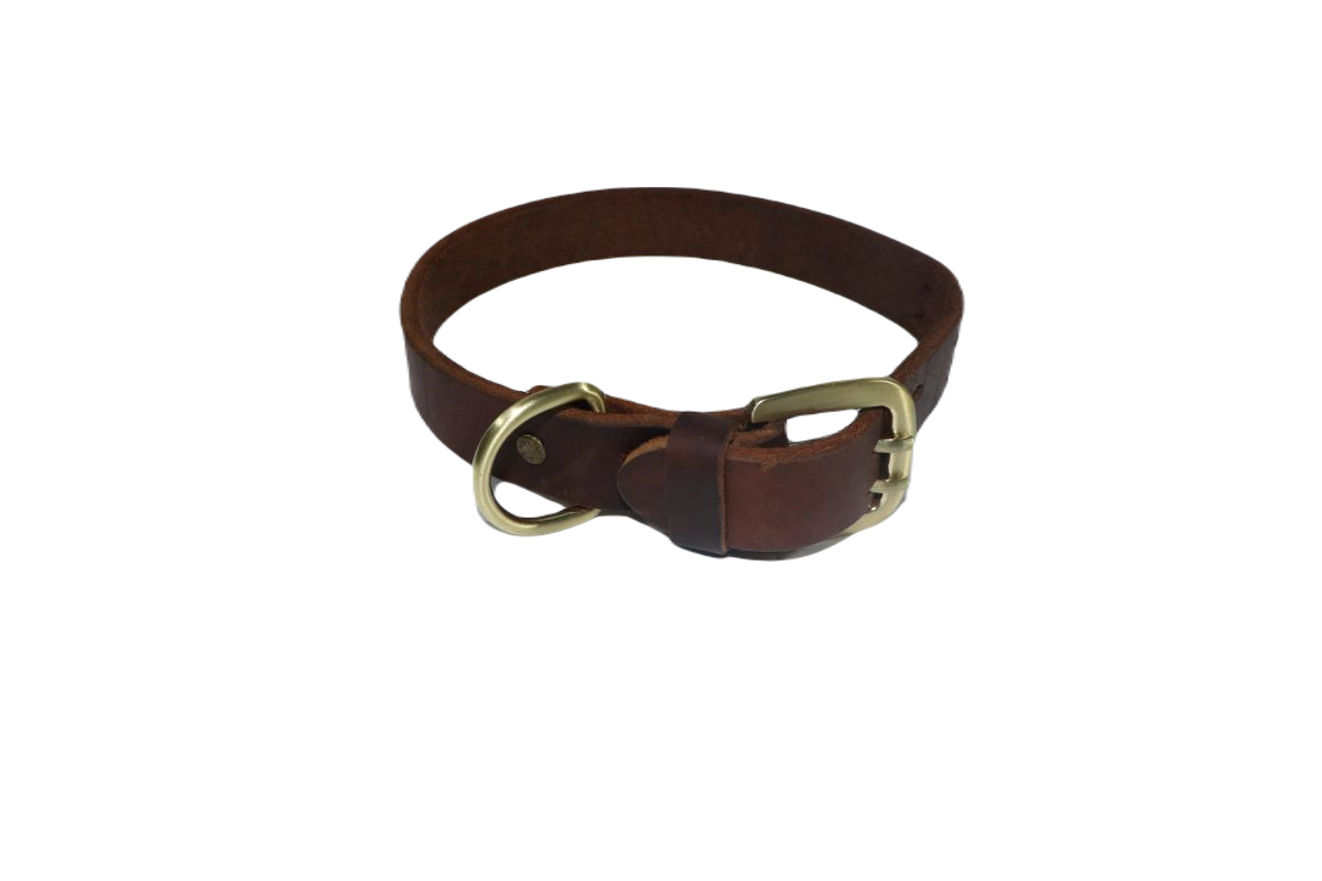 TD Authentic Leather Collar Collar TD Authentic Leather Collar