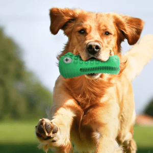 TD Dog Crocodile Dental Chew Alligator Cleaning Toy Dog TD Dog Crocodile Dental Chew Alligator Cleaning Toy