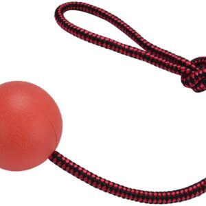 TD Dog Rope Chew Ball Rubber Knot Bite Tug Toy Dog TD Dog Rope Chew Ball Rubber Knot Bite Tug Toy