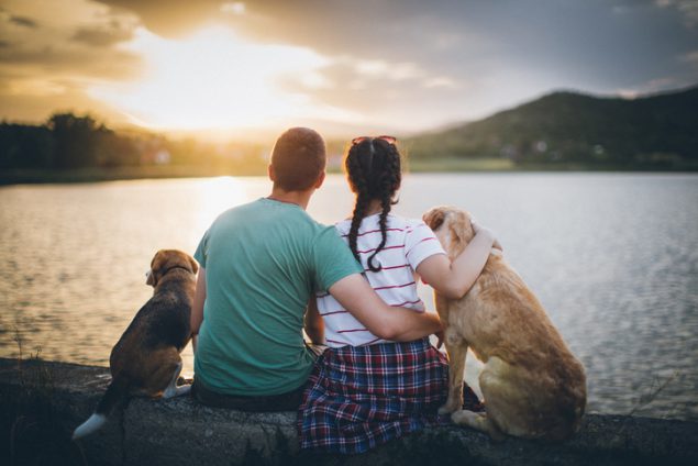 10 Ways to Commemorate National Pet Month
