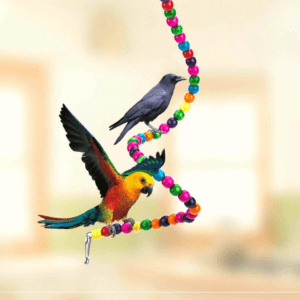 TD Parrot Coloured Bead Wooden Chewing Bird Toy Bird Cage, Bird Food, Health & Accessories TD Parrot Coloured Bead Wooden Chewing Bird Toy