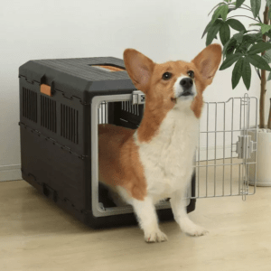 TD Pet Plastic Foldable Cage Carrier Bed, Crates, Home & Travel TD Pet Plastic Foldable Cage Carrier