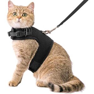 TD Authentic Air Mesh Harness with Leash