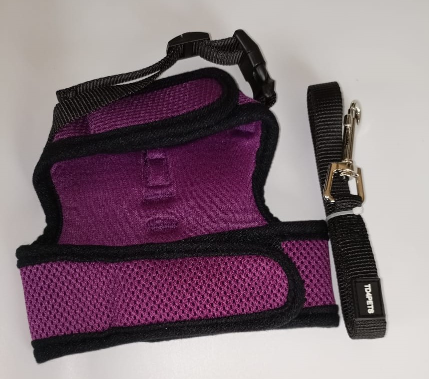 TD Authentic Air Mesh Harness with Leash Apparel, Leash Collar, Harness & BackPack TD Authentic Air Mesh Harness with Leash - Image 22