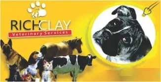 TD L-Shaped Cat Scratching Board Cat