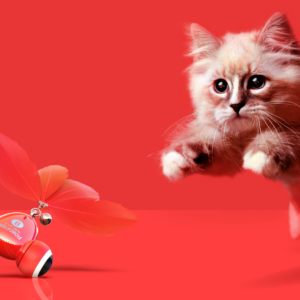 TD Maymaw kitifish Feather Cat Fish Toy