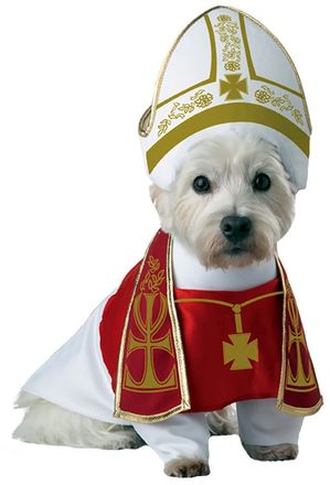 TD Halloween Animal Planet Holy Hound Dog Costume