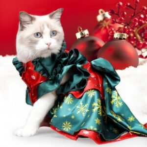 TD Christmas Clothes Cat TD Christmas Clothes