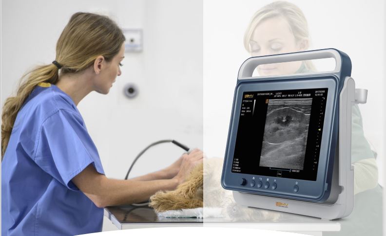 15″ Touchscreen Pad B/W Compact Portable Veterinary Ultrasound Surgical, Lab & Therapy 15" Touchscreen Pad B/W Compact Portable Veterinary Ultrasound