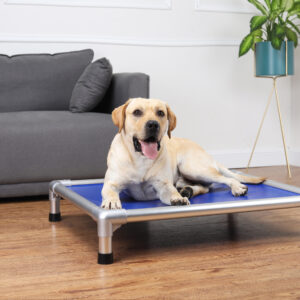 TD Durable Elevated Aluminium Frame Pet Bed Bed & Sofa TD Durable Elevated Aluminium Frame Pet Bed
