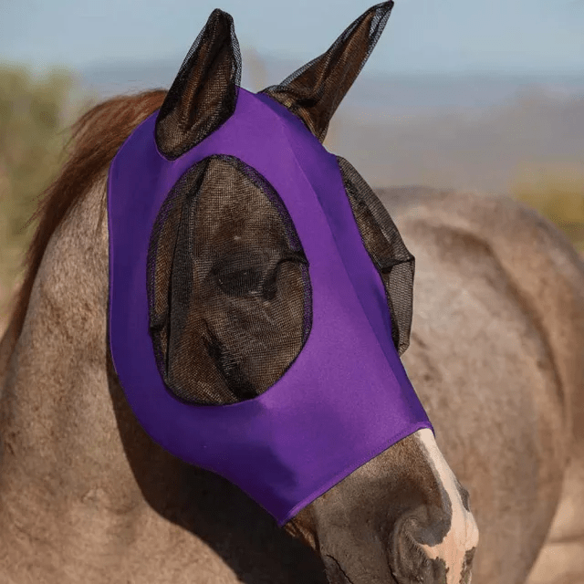 TD Elastic Mesh Fly Mask Protector Equine TD Elastic Mesh Fly Mask Protector - Image 2