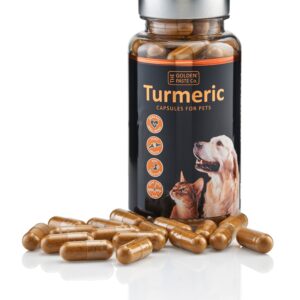 Turmeric Capsules for Pets Cat Turmeric Capsules for Pets