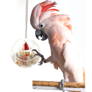 TD Buffet Ball with Bell - Tough Foraging Parrot Toy