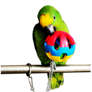 TD Colourful Hanging Jingle Ball Bird Cage, Bird Food, Health & Accessories TD Colourful Hanging Jingle Ball