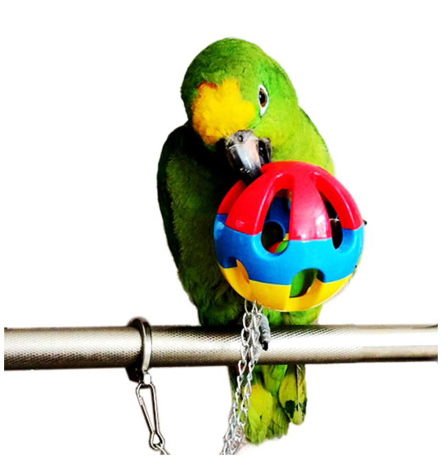 TD Colourful Hanging Jingle Ball Bird Cage, Bird Food, Health & Accessories TD Colourful Hanging Jingle Ball