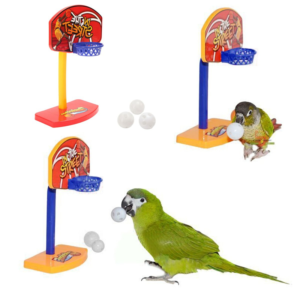TD Parrot Bird Basketball Activity Toys
