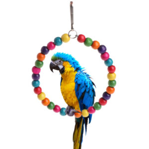 TD Colourful Wooden Parrot Bead Circle Bird Toy
