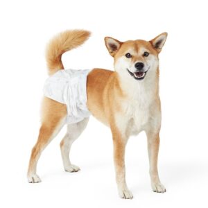 TD Female Pet Disposable Diapers 10 Diapers Dog TD Female Pet Disposable Diapers 10 Diapers