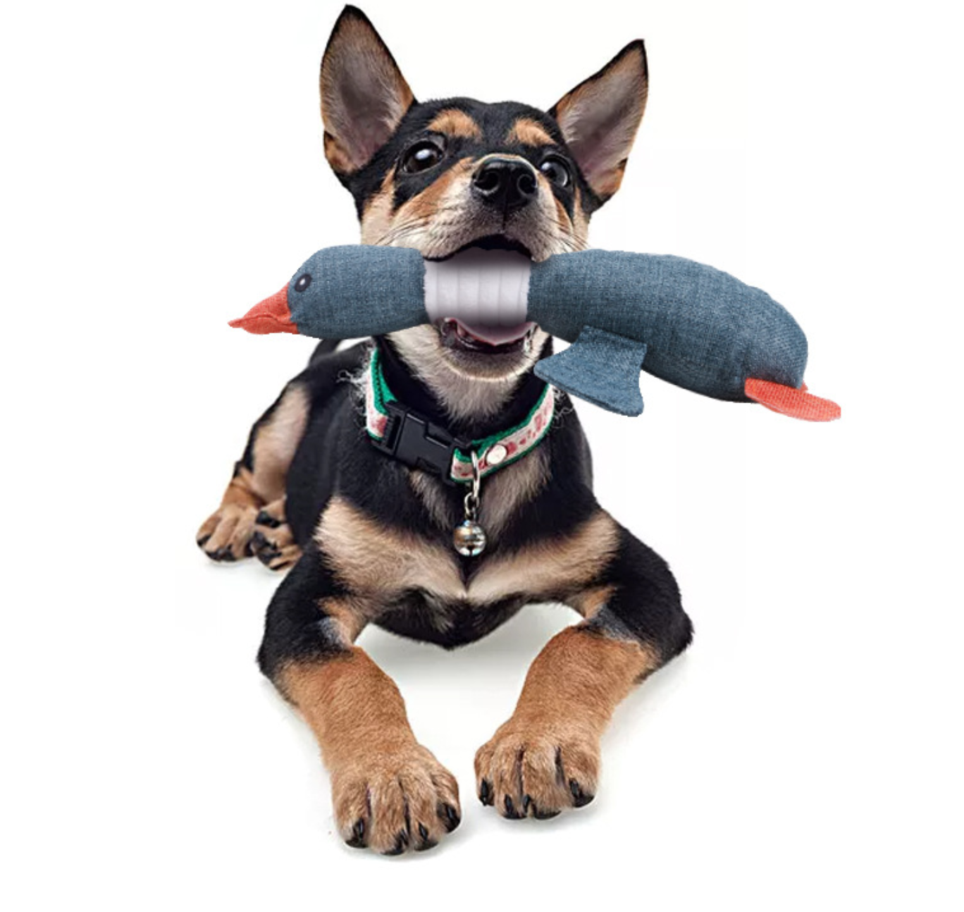 TD Wild Goose Plush Dog Toy Dog TD Wild Goose Plush Dog Toy