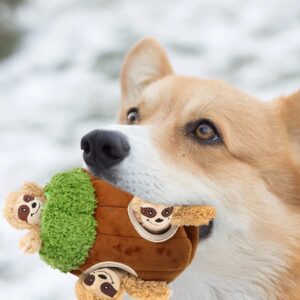 TD Hide-A-Squirrel Squeaky Plush Dog Toy Dog TD Hide-A-Squirrel Squeaky Plush Dog Toy
