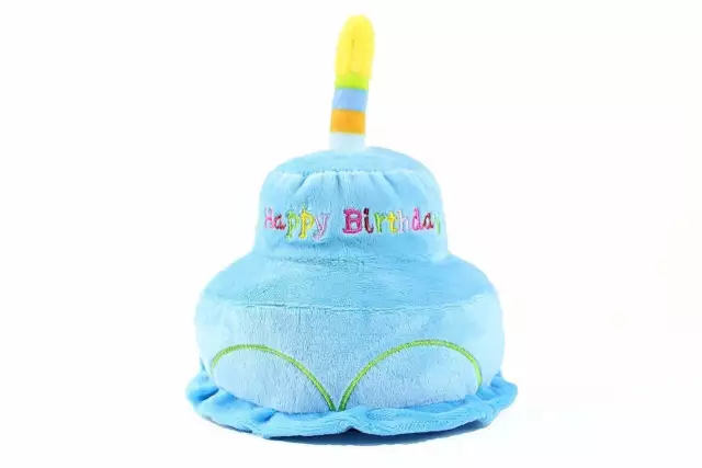 TD Squeaky Birthday Plush Hat Cake Toy Dog TD Squeaky Birthday Plush Hat Cake Toy