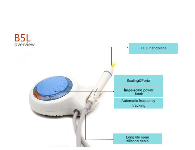 B5L Veterinary Dental Ultrasonic Scaler Cat B5L Veterinary Dental Ultrasonic Scaler - Image 2