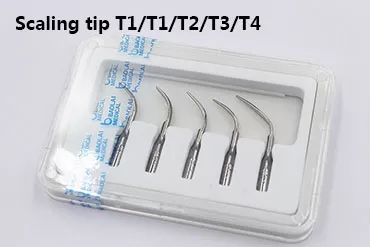 B5L Veterinary Dental Ultrasonic Scaler Cat B5L Veterinary Dental Ultrasonic Scaler - Image 6