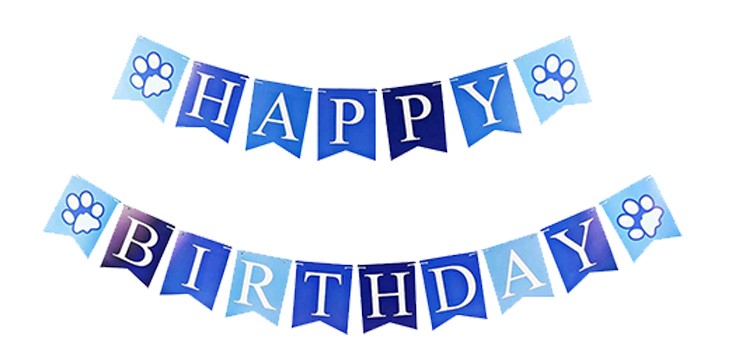 TD Male Dog Birthday Party Decor Ballon Hat Banner Set Backpack, Bag, Home and Travel TD Male Dog Birthday Party Decor Ballon Hat Banner Set - Image 5