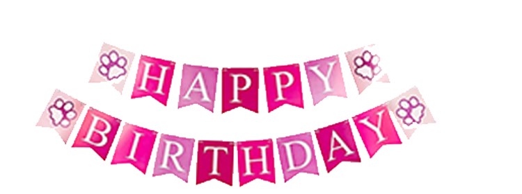 TD Female Dog Birthday Party Decor Ballon Hat Banner Set Backpack, Bag, Home and Travel TD Female Dog Birthday Party Decor Ballon Hat Banner Set - Image 5